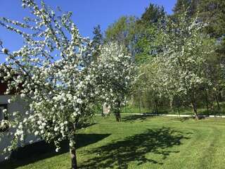 Дома для отпуска Aruvälja summerhouse Lassi Дом для отпуска-29